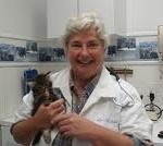 Office Mastic NY For Pet Office Mastic NY For Pet