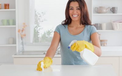 Balancing Cleanliness with Busy Lives through House Cleaning Services in St. Paul, MN