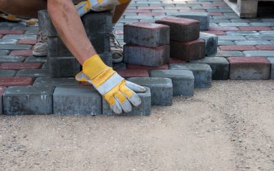 Choosing an Asphalt Paving Contractor Ingleside IL Residents Trust for Long-Lasting Driveways