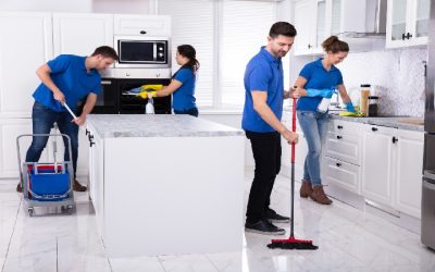 A Guide to Reliable House Cleaning Services in St.