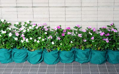 Transform Your Workspace Ambiance with Interior Landscape Miami Design Solutions