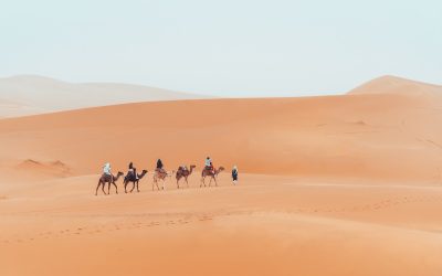 Experience Unforgettable Moments on a 3 Day Marrakech to Fez Journey Through Morocco’s Vibrant Heart