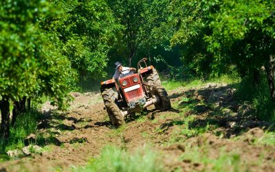 Achieve More With Kubota Equipment Rentals Services In Kiowa, CO