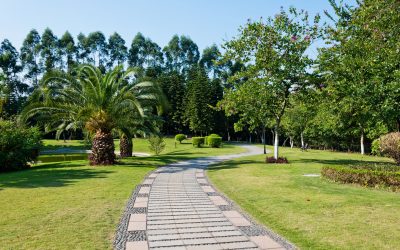 Find the Best Solutions for Yard Makeovers With a Landscape Contractor in Murrieta, CA