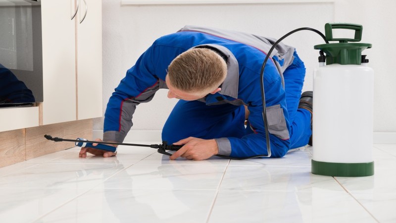 Protect Your Home with Pest Control in Alexandria VA