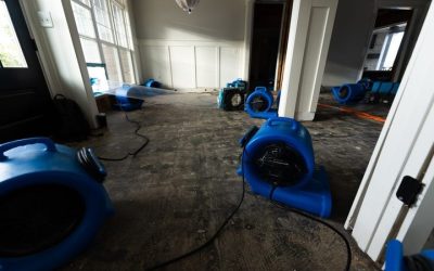 The Techniques That Make Repairing Wood Floor Water Damage in Newnan, GA Possible