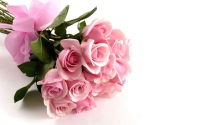 Express Your Condolences with Sympathy Flowers Delivery Port St. Lucie FL Options
