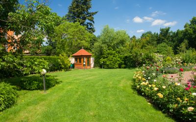 Enhance Your Property Value Through a Lawn Care Program Charlotte NC Neighbors Rely On