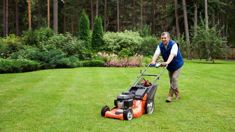 Where to Turn for Lawn and Garden Services in Indianapolis, IN