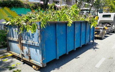 Simplify Your Next Project With a Dumpster Rental Company San Fernando Valley CA Solution