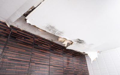 Fast Solutions for Emergency Water Damage Restoration in Naperville, IL That Save Your Property