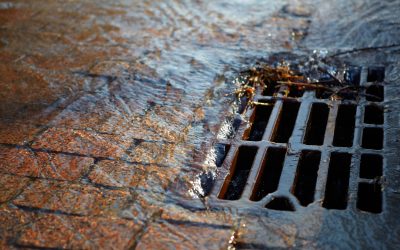 Learn Why Sewer Line Cleaning Newburyport Prevents Costly Plumbing Emergencies at Home