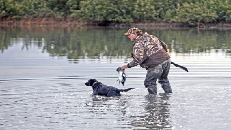Texas Duck Hunting Tips & Tricks for the Novice Hunter
