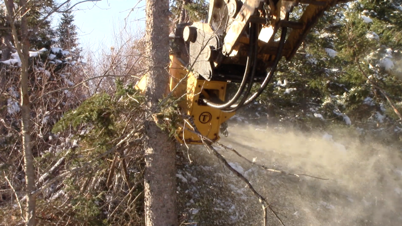 Try a Quality Mini-Excavator Forestry Mulcher for Your Tough Forestry Jobs