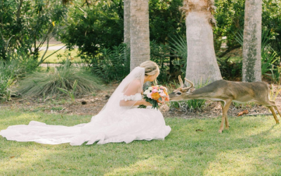 South Carolina Wedding: Creating Unforgettable Moments