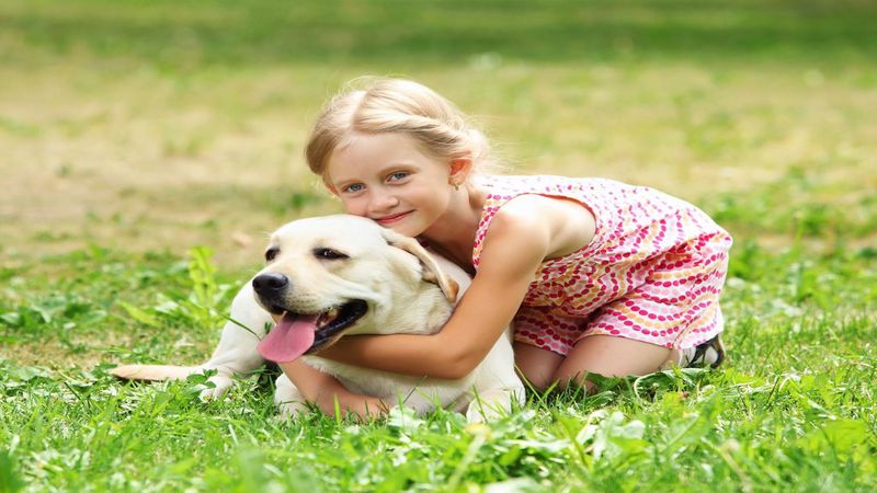 Benefits of Pet Boarding Over In-Home Dog Sitting in Omaha, NE